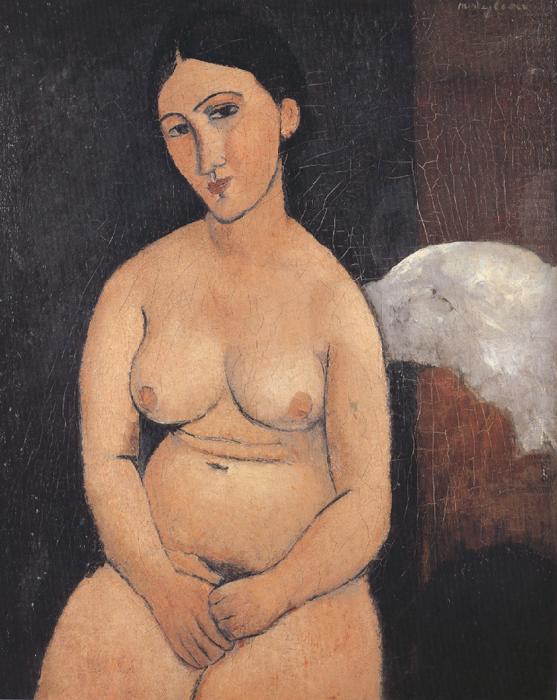 Amedeo Modigliani Seated Nude (mk39) china oil painting image